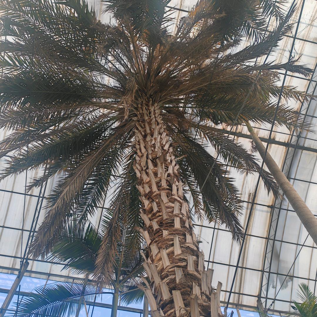 空白