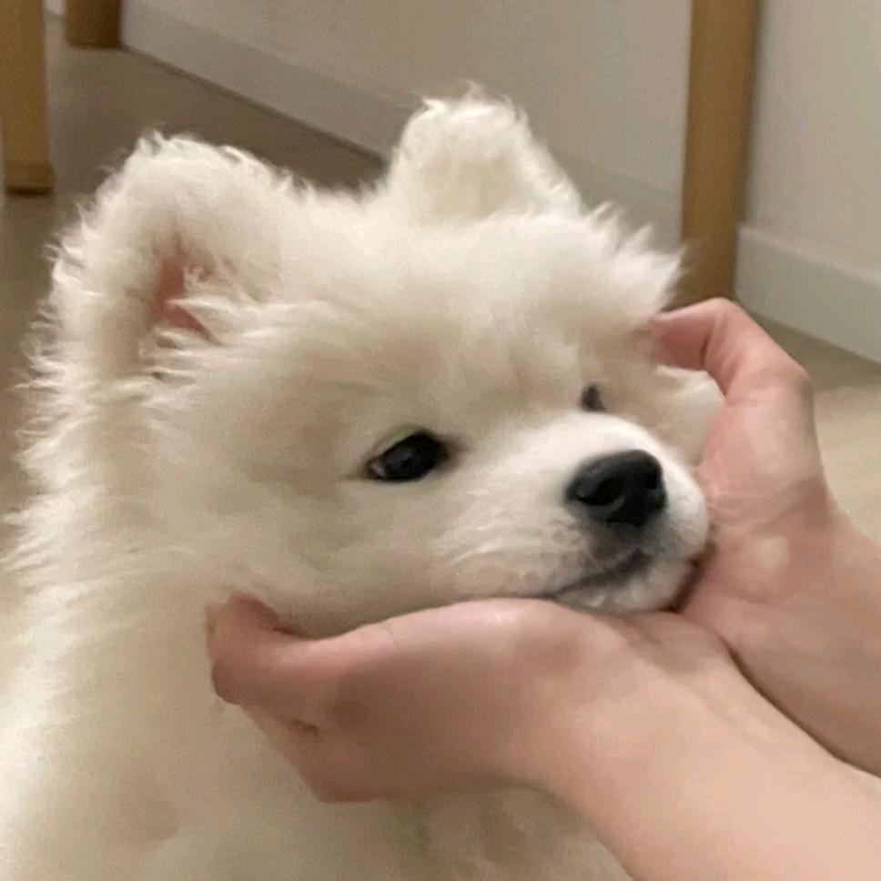 幻想家💤