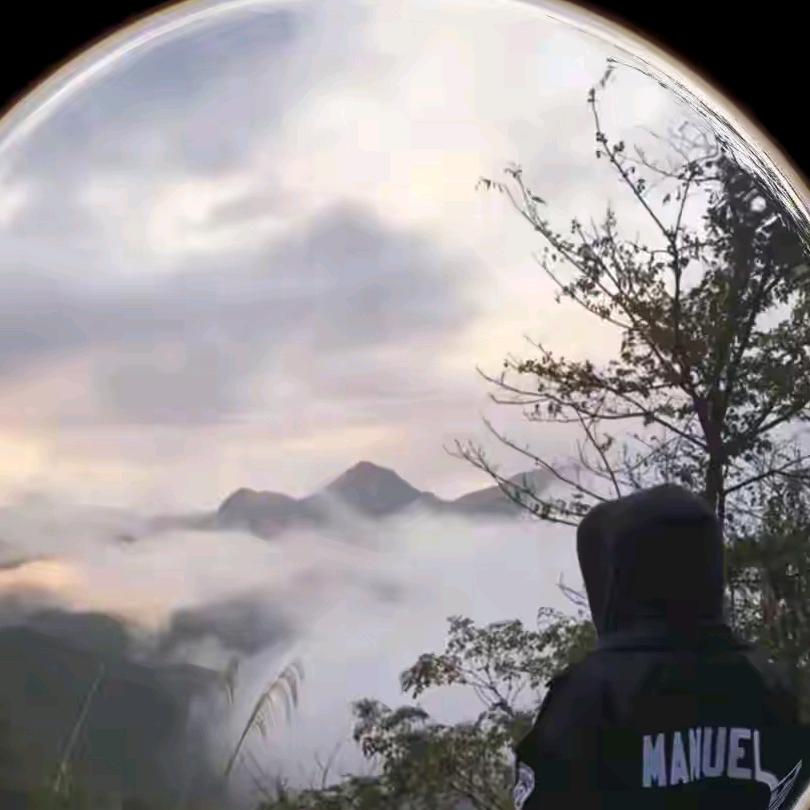 T云伴风尘              ༽