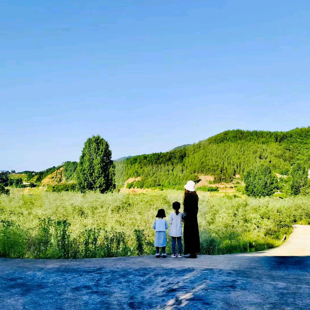 小春叫练