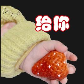 不念过往