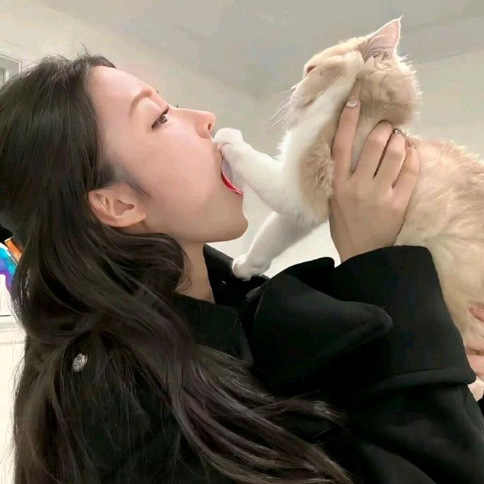 💞糖心煎蛋💞