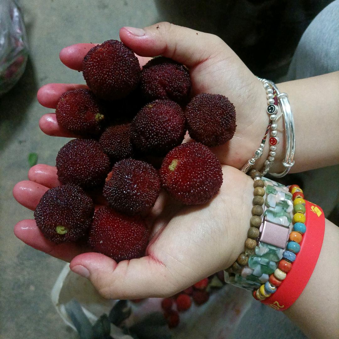 快乐十九