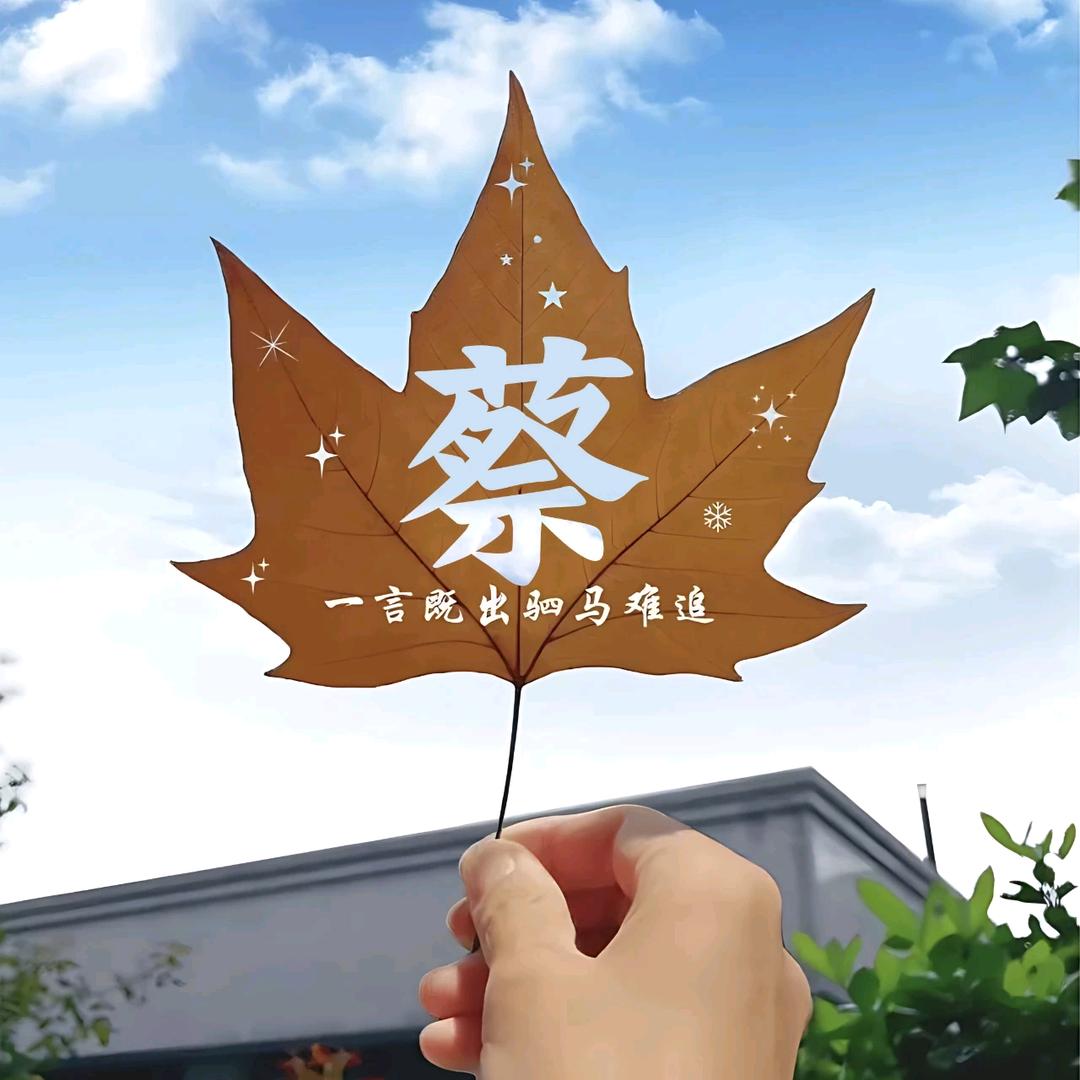 蔡丽容