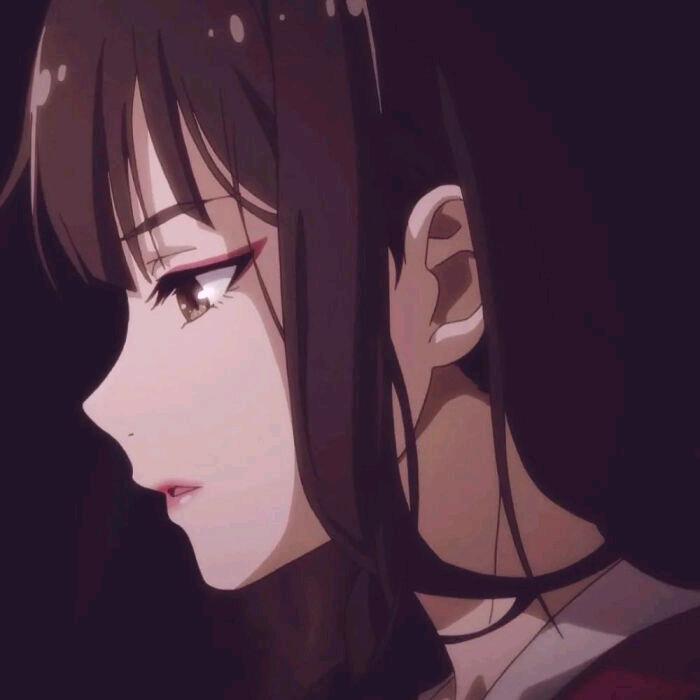 山茶花读不懂白玫瑰