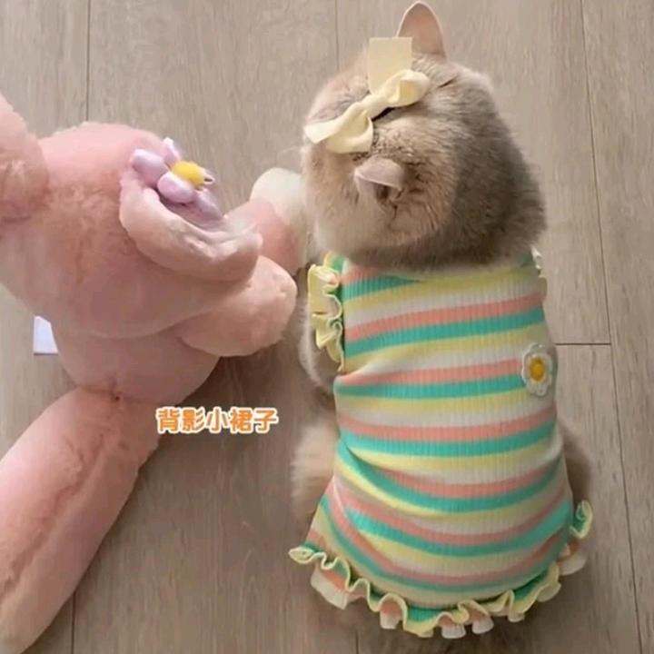 精致家居用品
