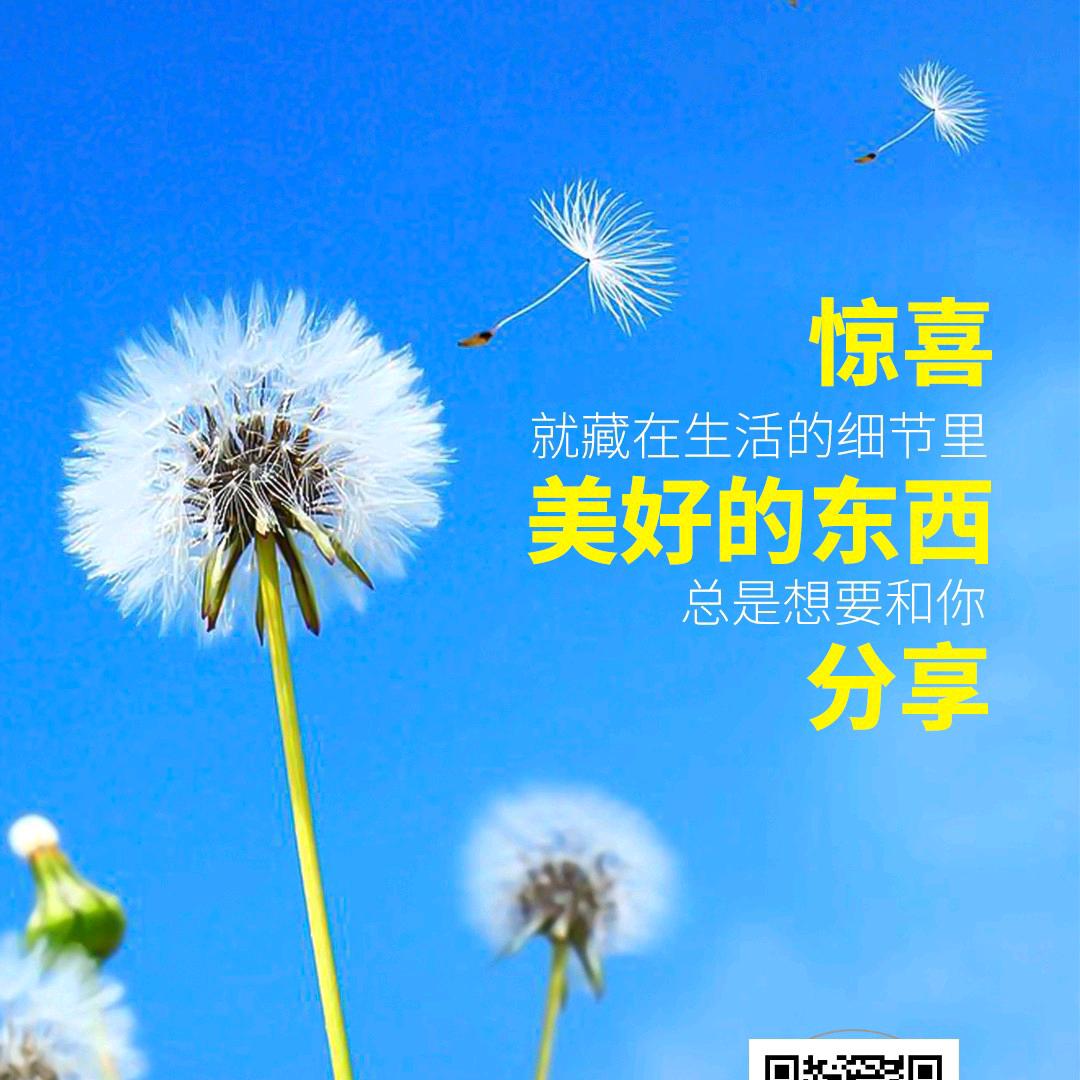 虎哥哥