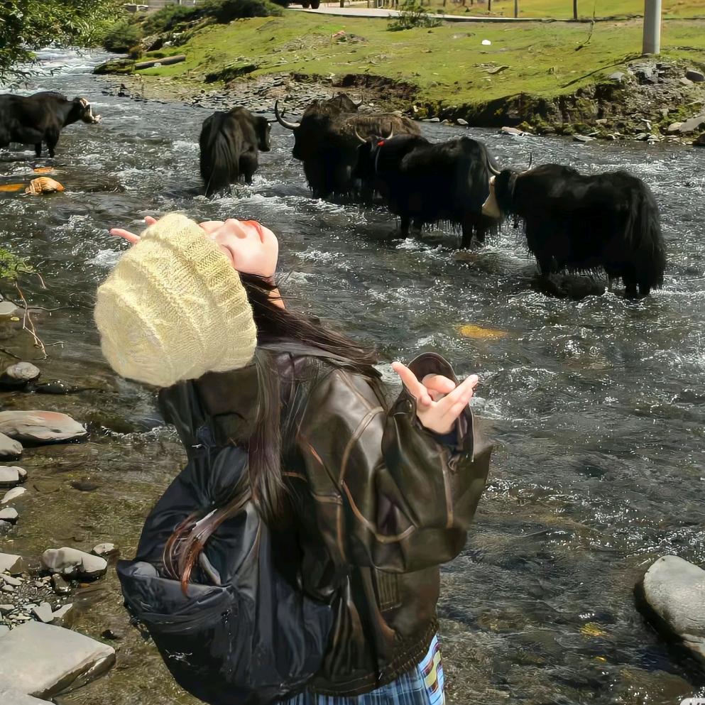 🐋云端声纳员🐾