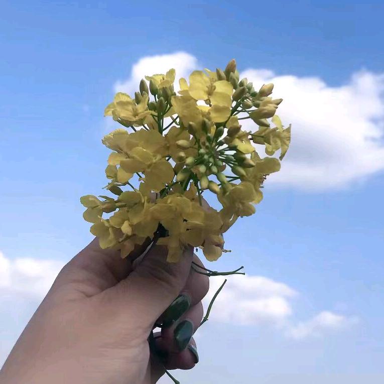 @领悟
