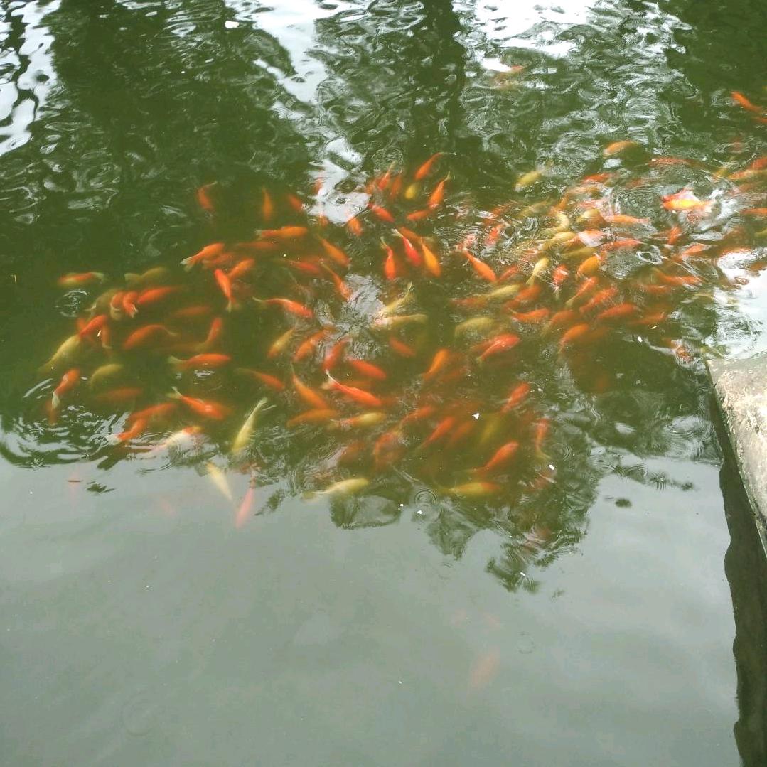 159😬😬😬😬😬😬开心就好