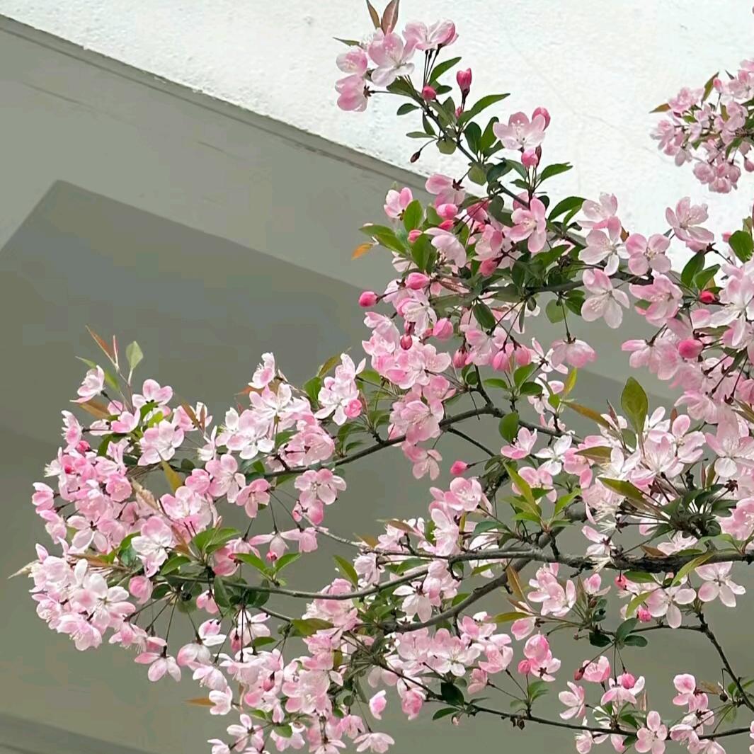 好ᨶ႒ᩚ运ᥫᩣ໌້ᮨ