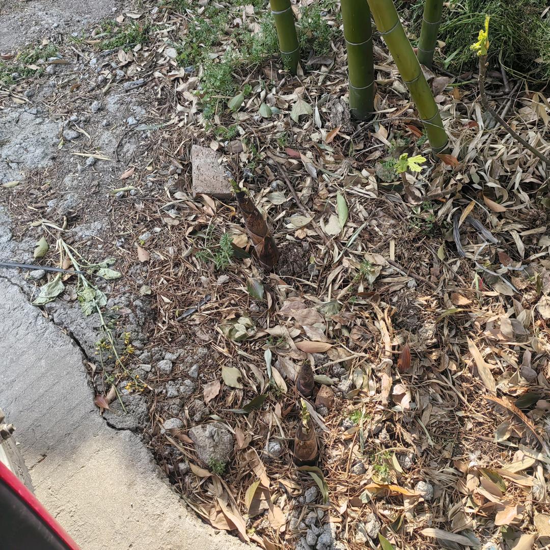 风声水起靠自己
