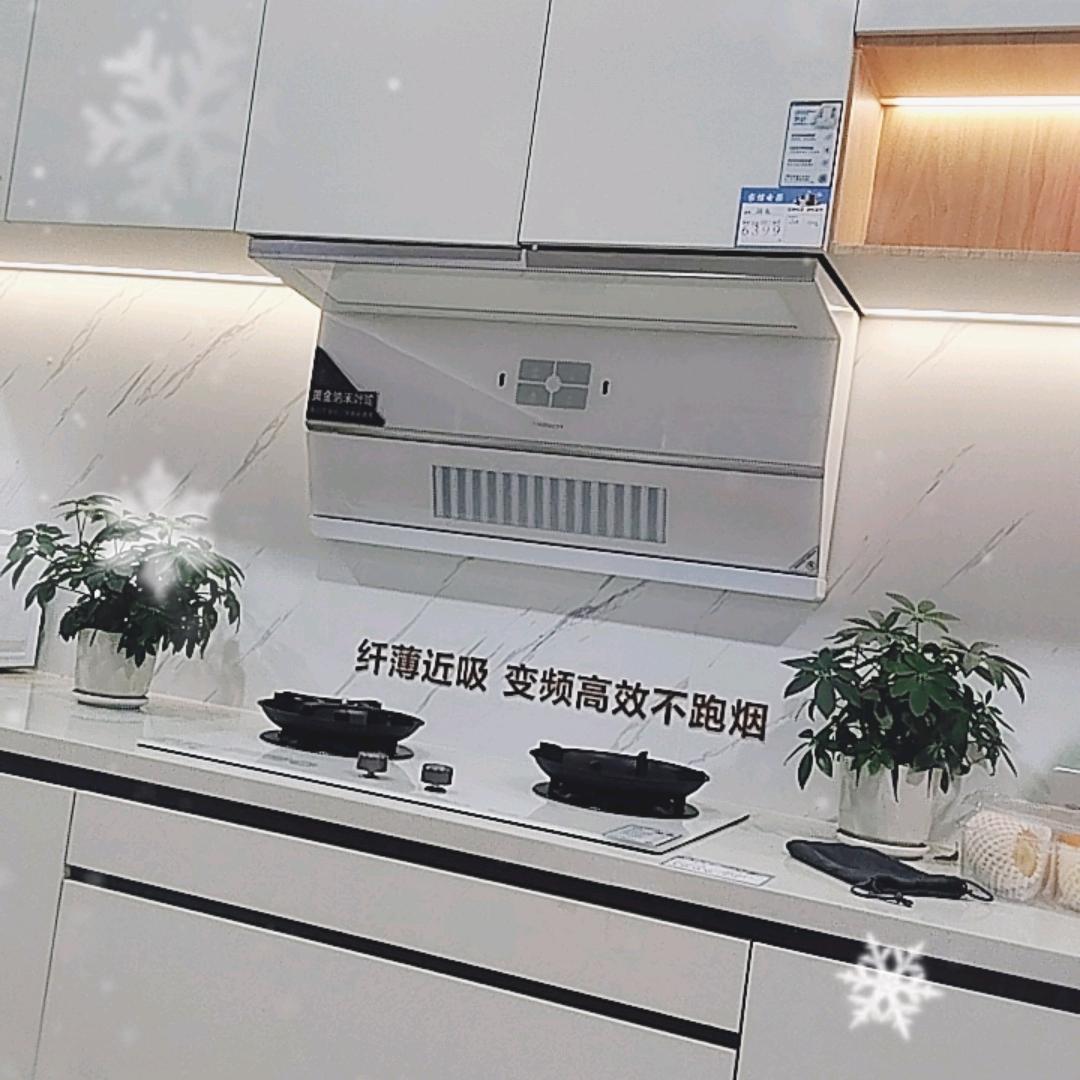 峨眉家信电器  海信厨电