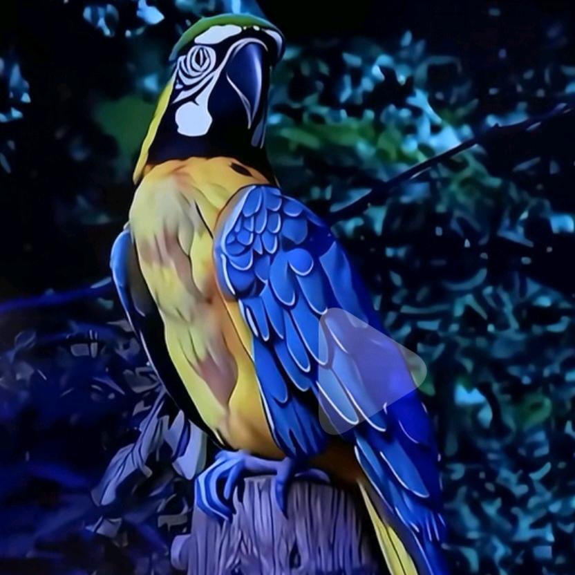 ༄༊࿆想💞起ღ᭄