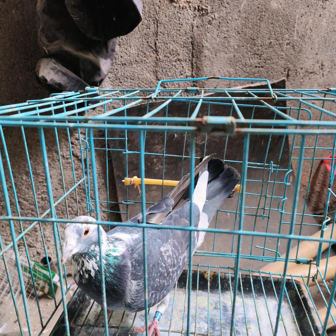 山高地广
