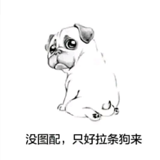 豆豆哥
