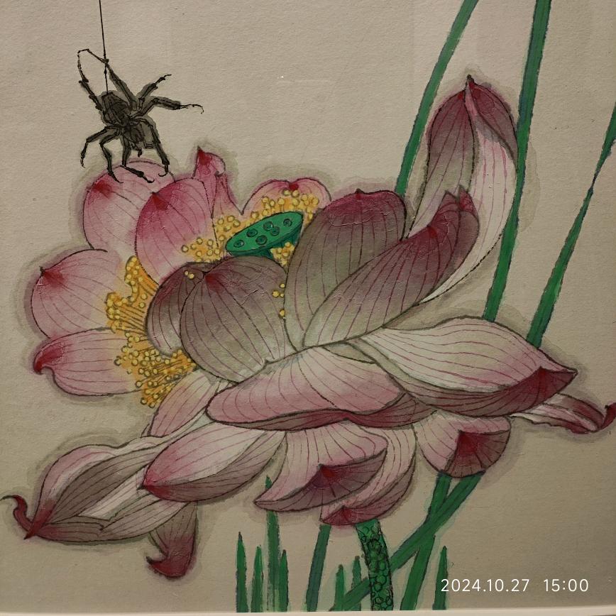 七七美少女壮士