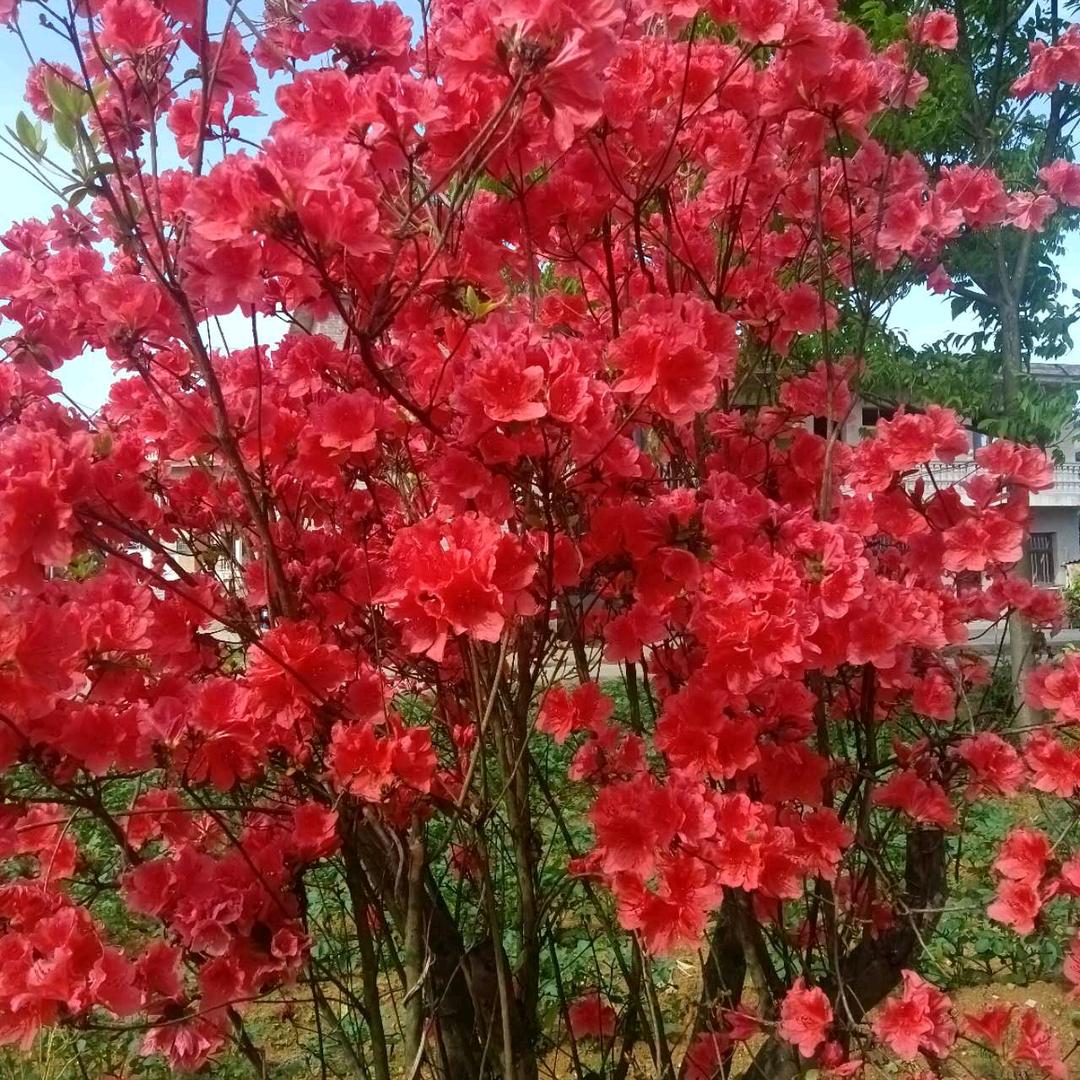 嘿嘿🉑🈶🉑🈚