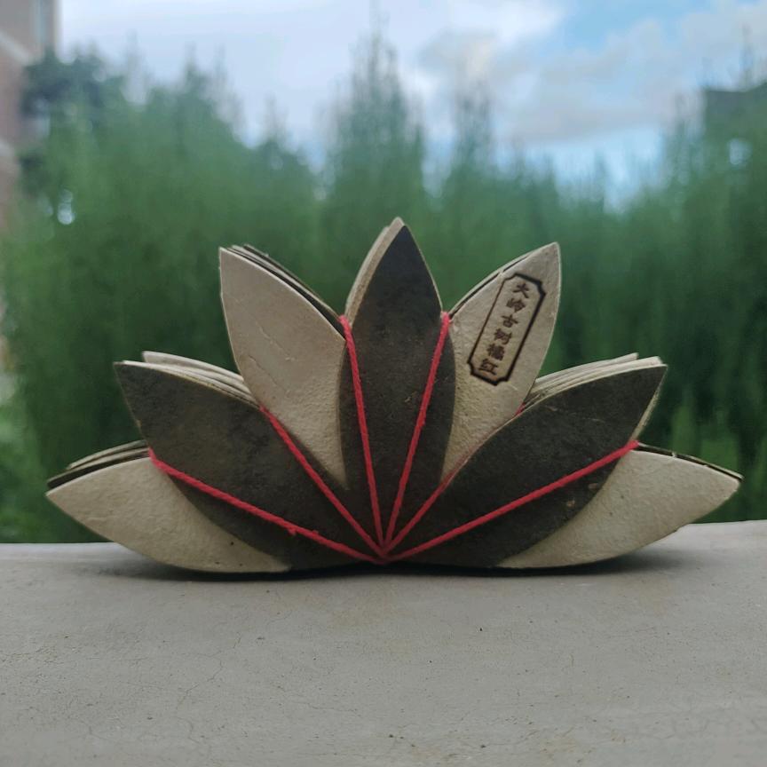 大岭村老树化橘红