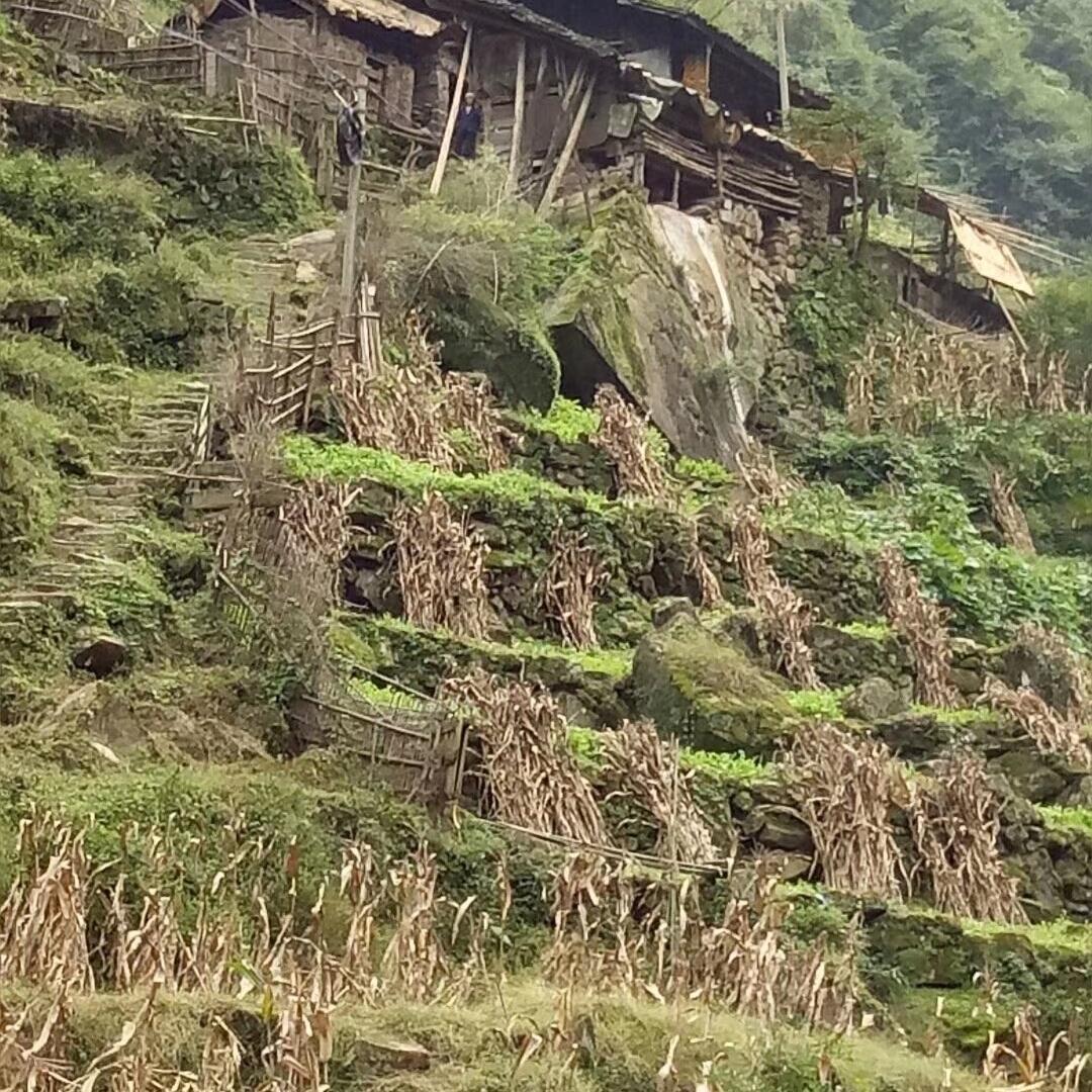 杰娃子
