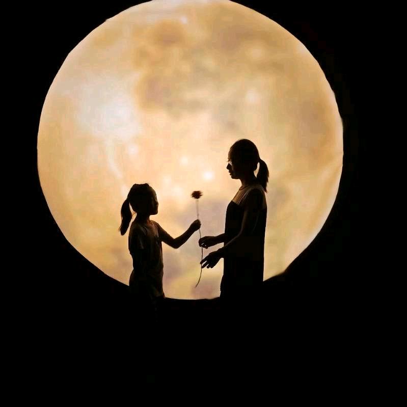 最美不过初阳《惜缘》🌺🌺🌺