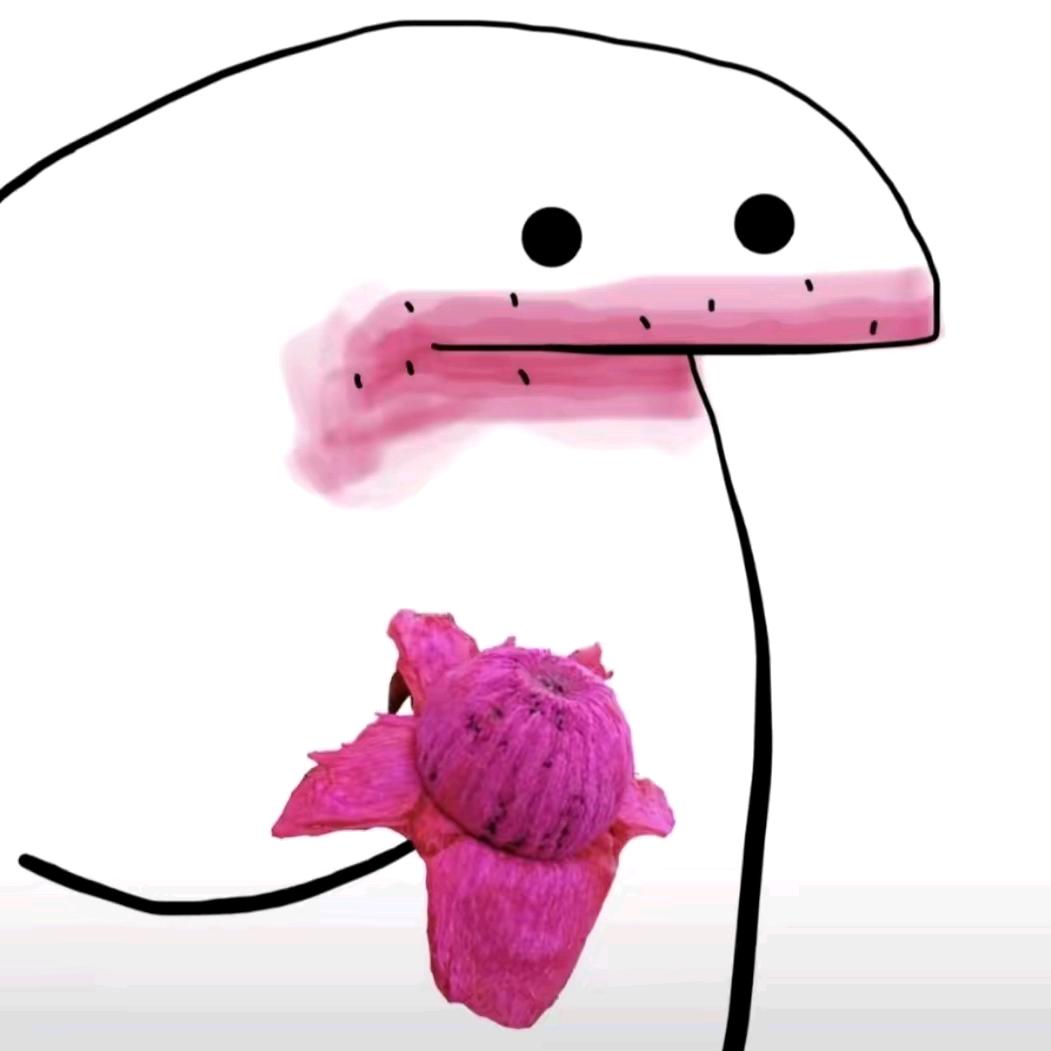 嘉个好友