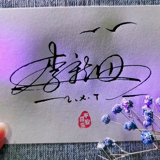 太阳下的懒猫