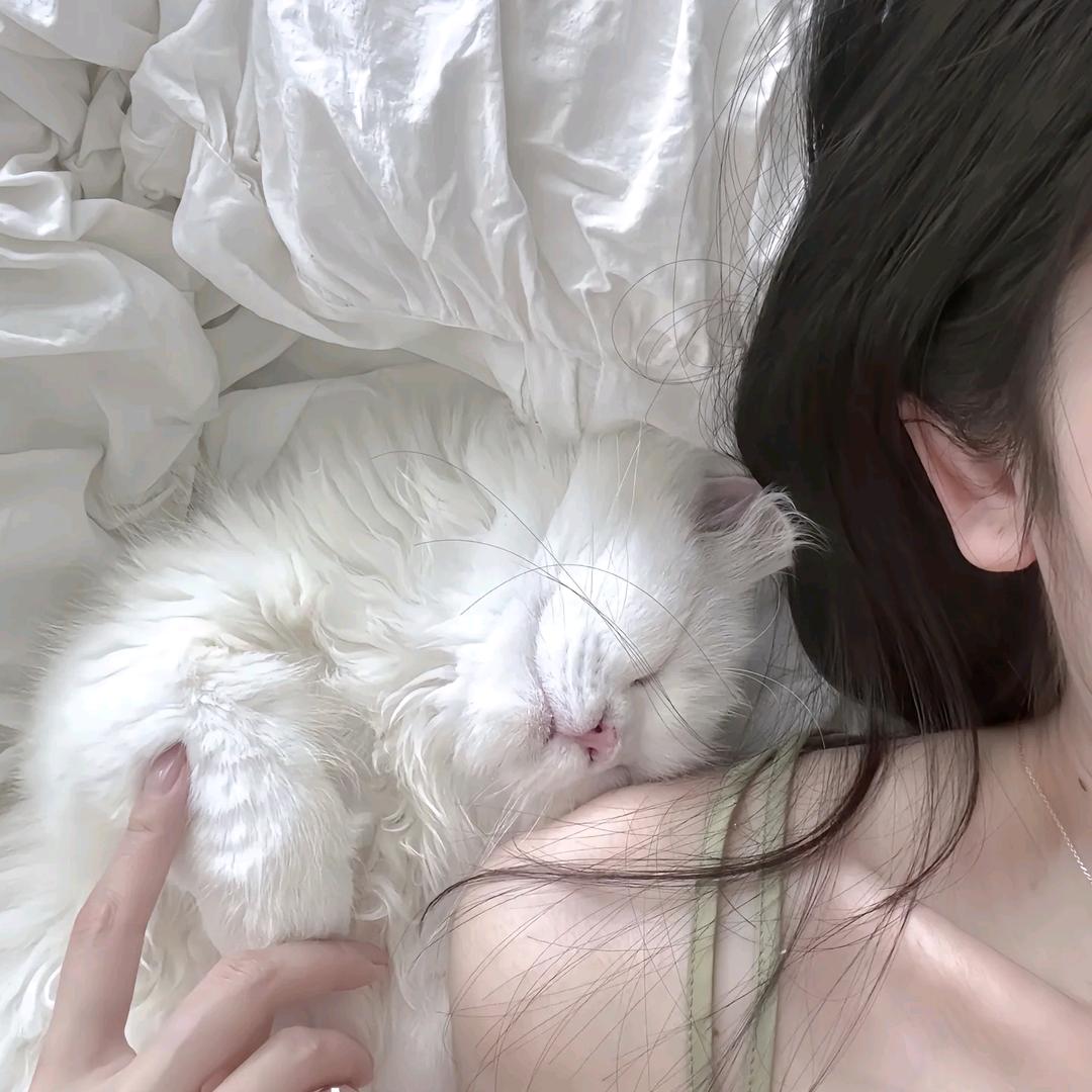 大白的吃喝日记