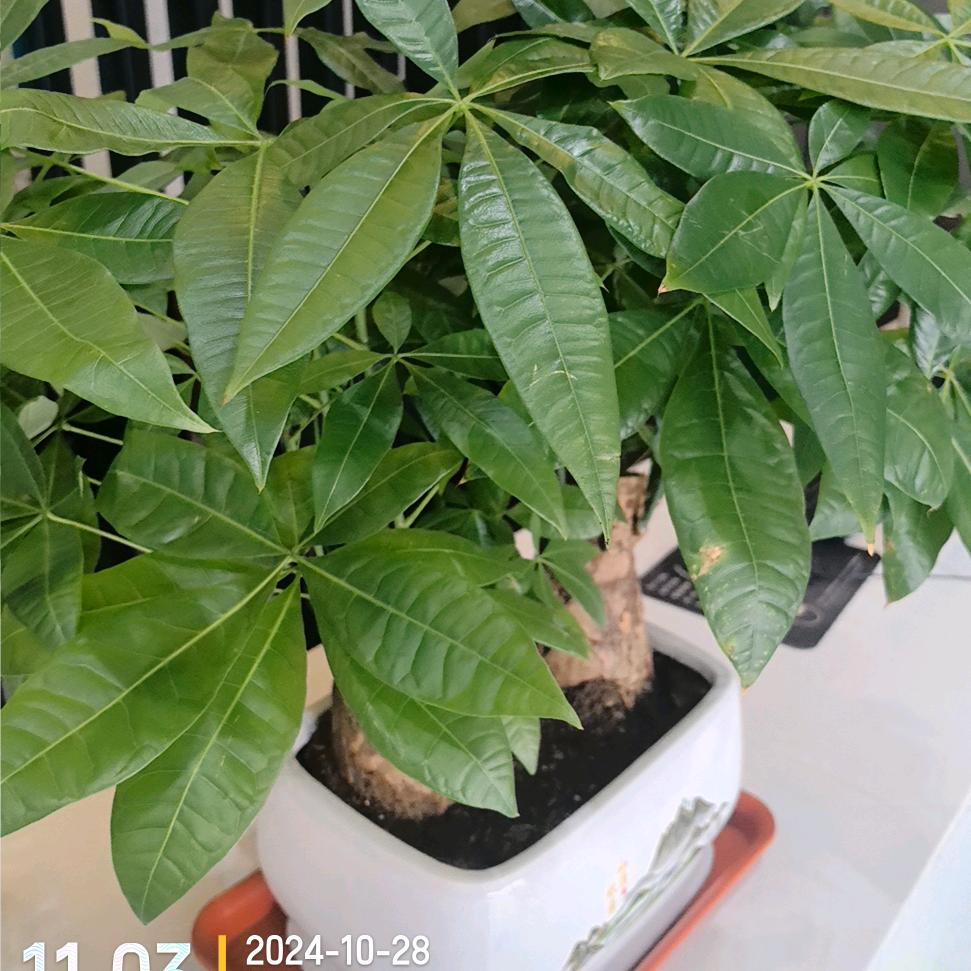 加油爱自己 用户2040926