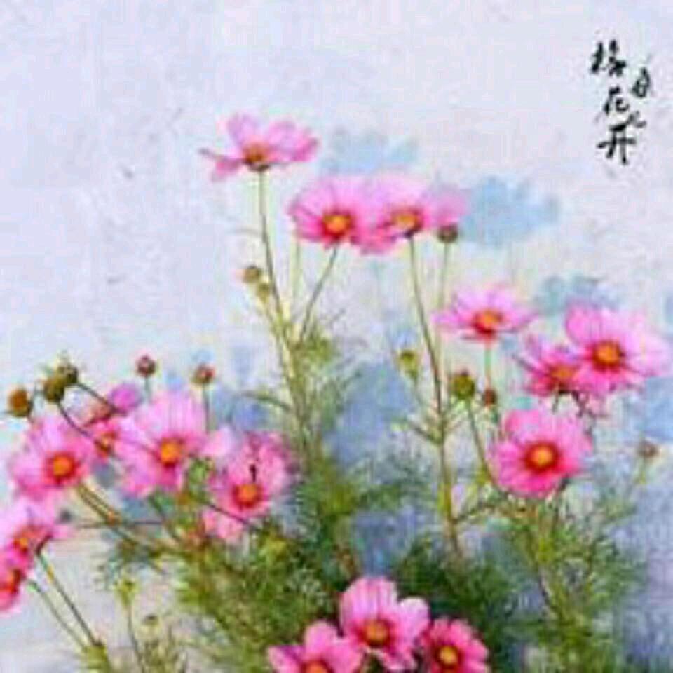 心想事成