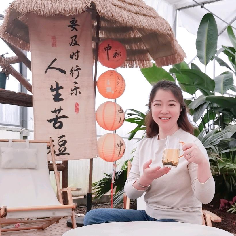 燕梦悠悠
