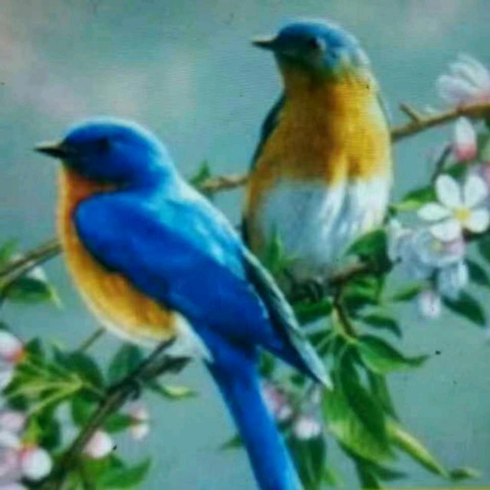 ✍🏼✍🏼✍🏼红尘浪子