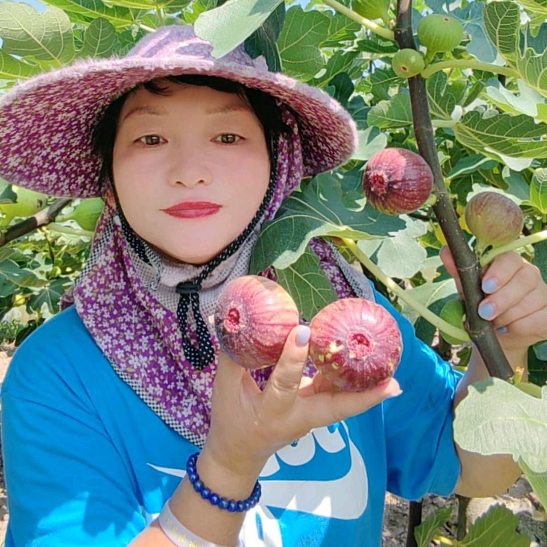 陶山燕子洗护严选