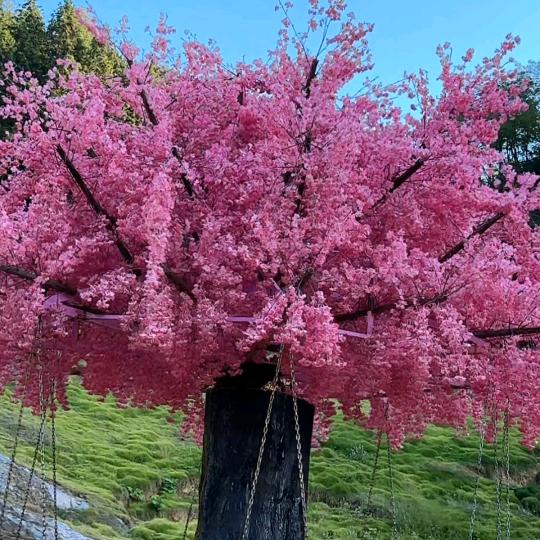 冷暖（一直在一直爱）