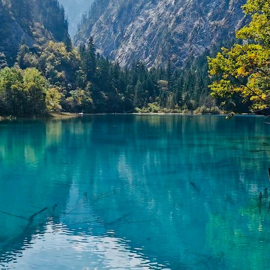 中国旅行社天紫界