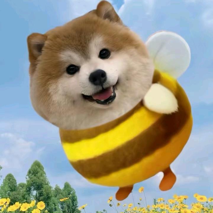 北极星