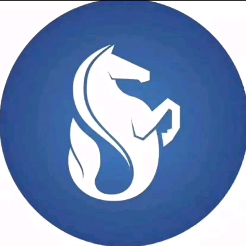 东台智海马单词训练营