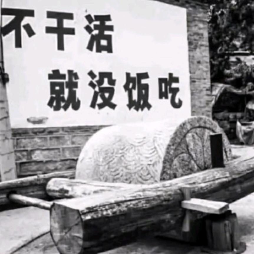 不拼怎么赢