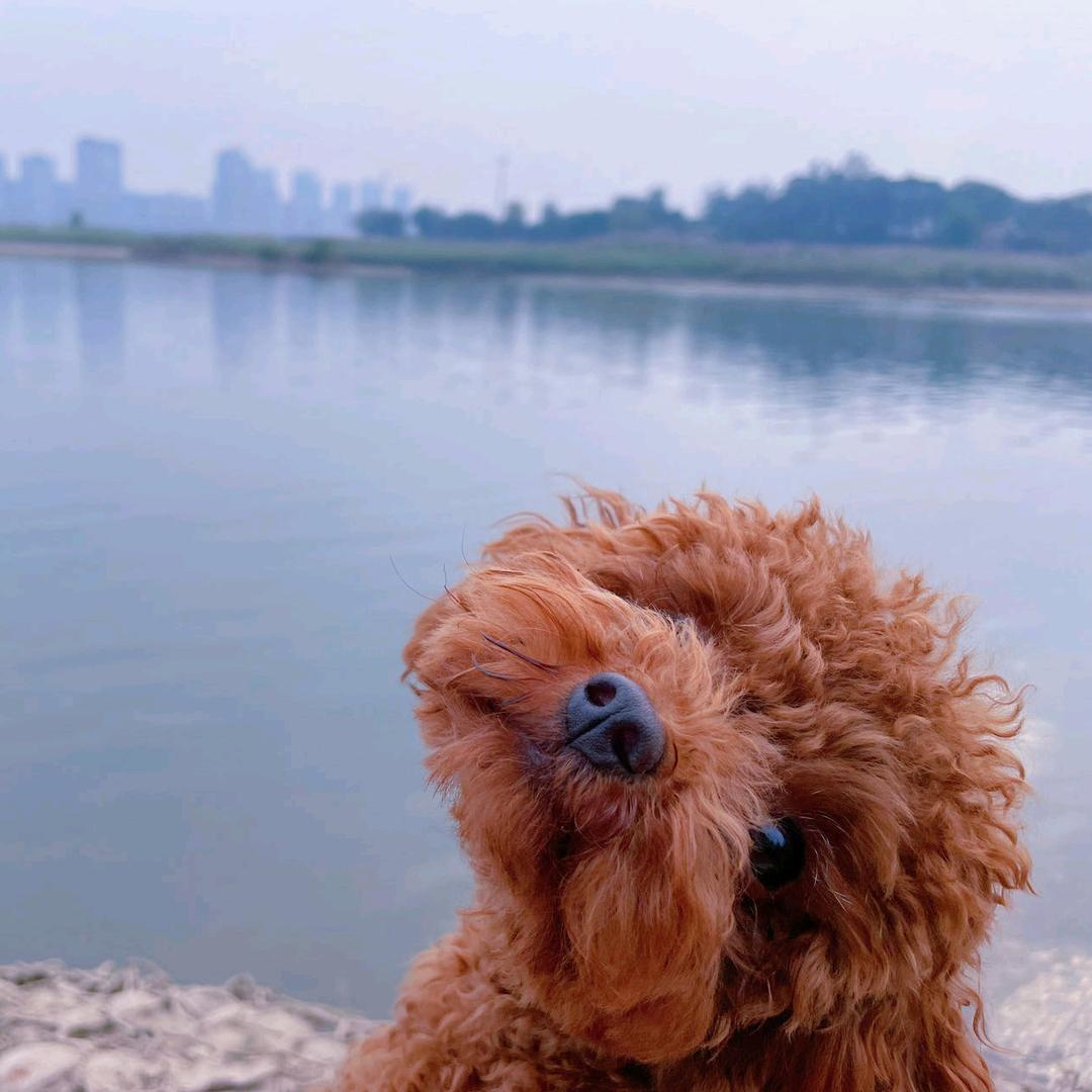 一只小泥巴