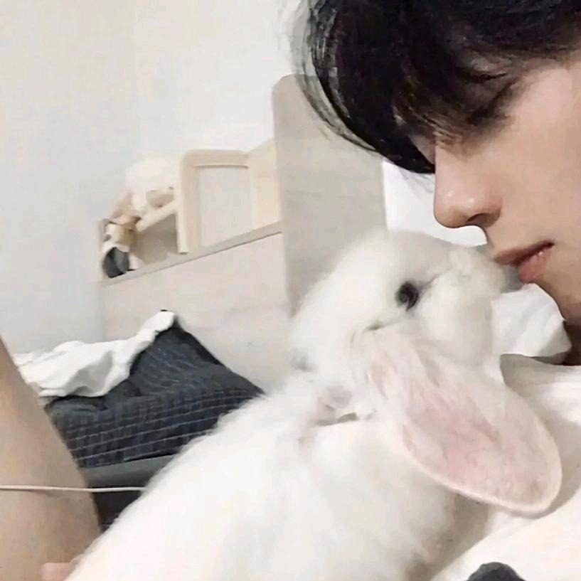 赵同学🐇⁰²²⁰