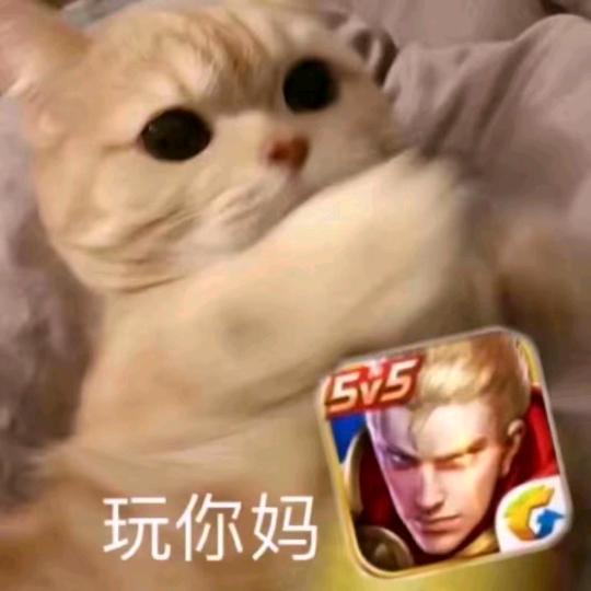 （錢）