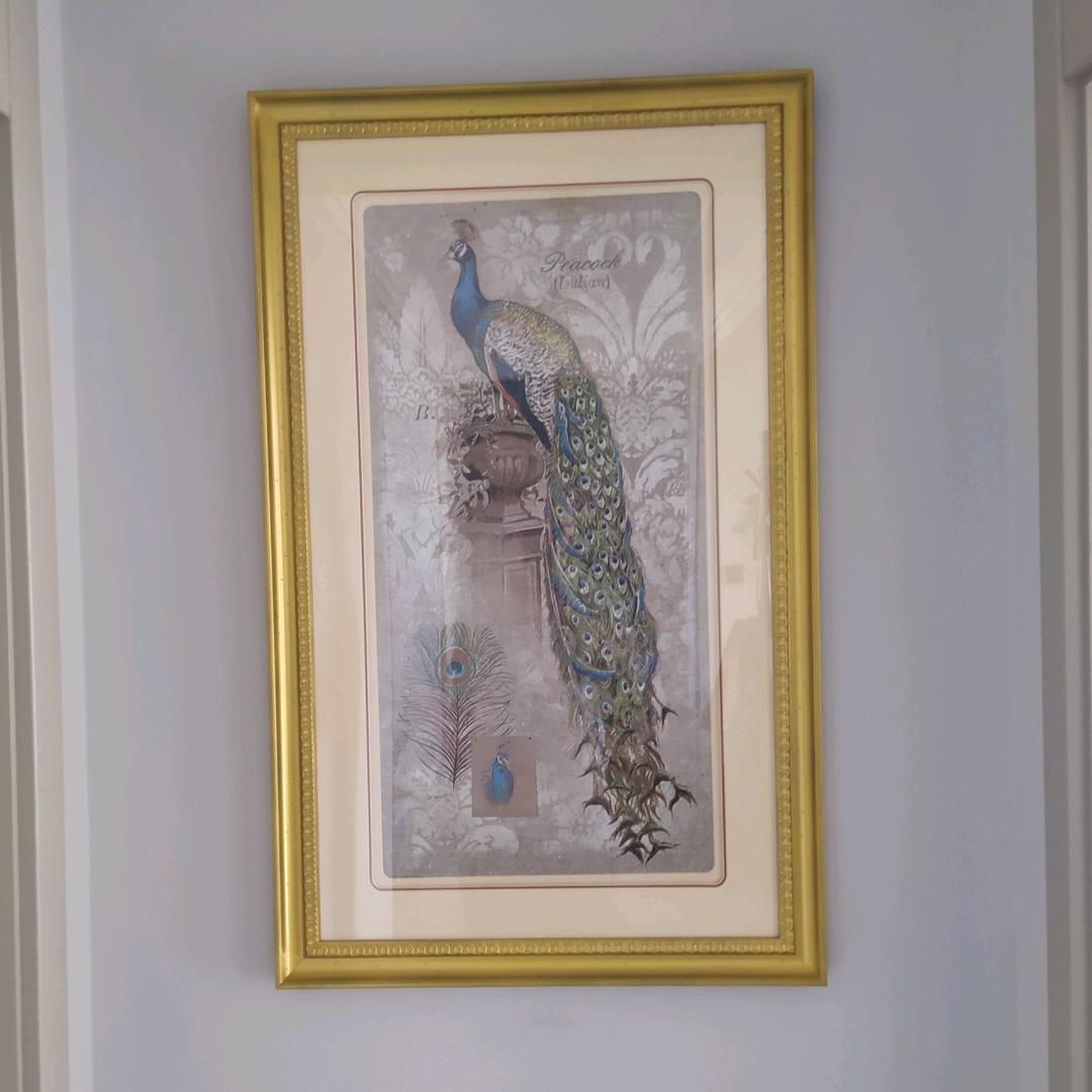 吃乌龟的小青蛙