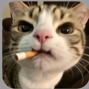 西米哼🍉（冲2000）