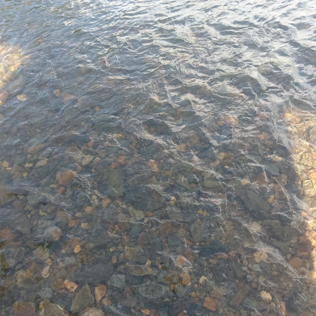 沉默是金，言多必失