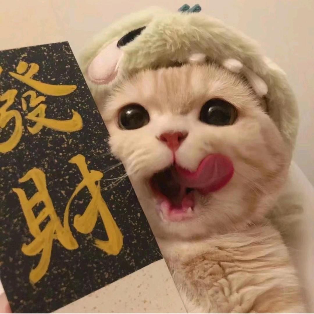 阿萌在努力