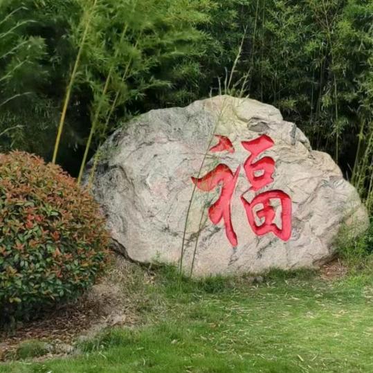 巨龙