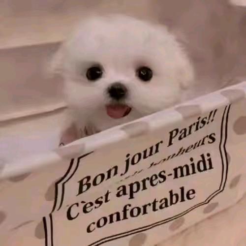 laylay有点慢☁️