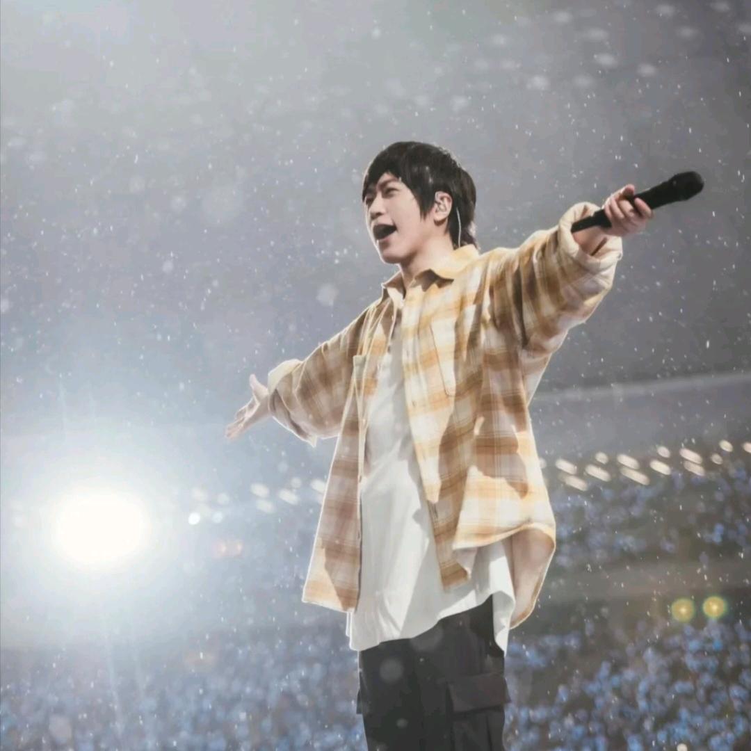 小狮子 。