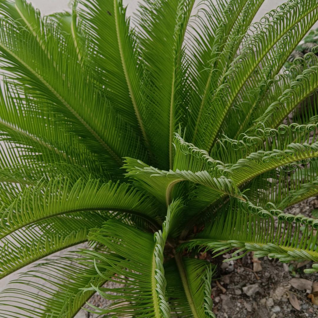 只要开心就快乐