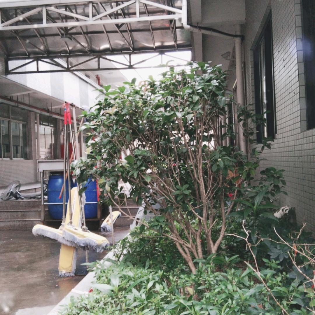 万福金安